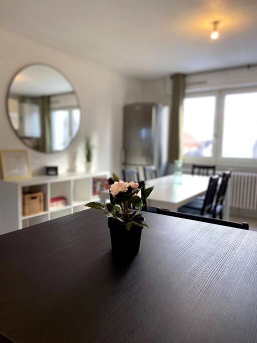 Апартаменты 10Min Bus Strasbourg Centre-Parking Prive-Wifi-Tv Bischheim Экстерьер фото